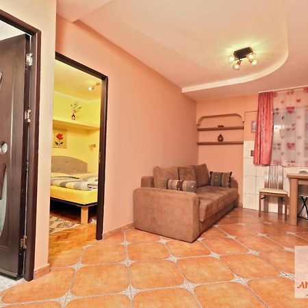 Apartamento Garsoniera Ania Băile Felix Exterior foto