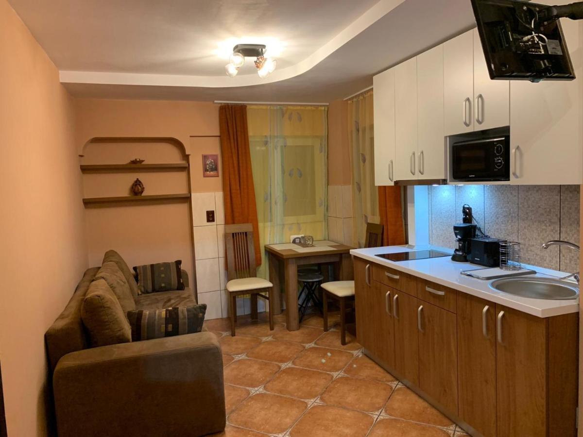 Apartamento Garsoniera Ania Băile Felix Exterior foto