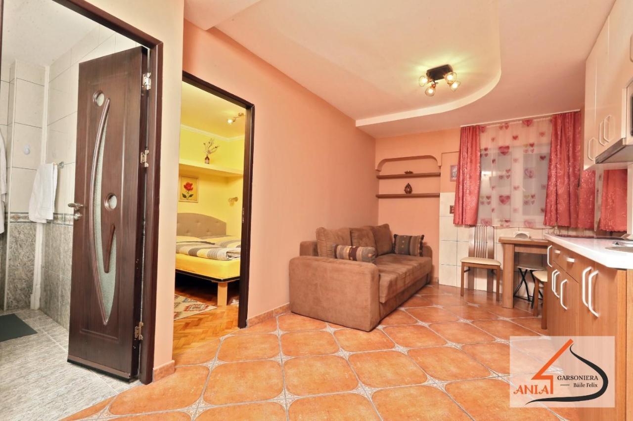 Apartamento Garsoniera Ania Băile Felix Exterior foto